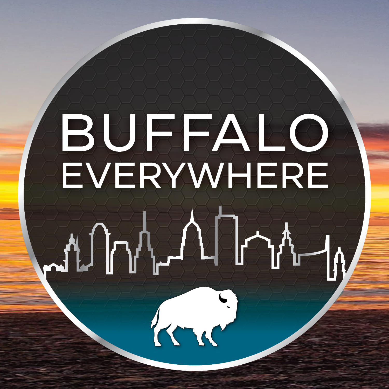 buffalo-buffalo-everywhere